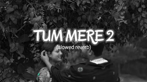 Tum mere 2 slowed reverb song