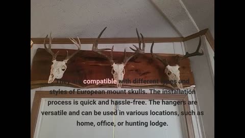 Buyer Reviews: Highwild European Mount Skull Hanger, Antler Style, 1 Pack 3 Pack