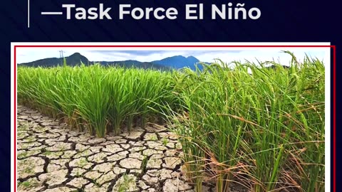 Mga lugar na nasa state of calamity, posibleng madadagdagan pa —Task Force El Niño