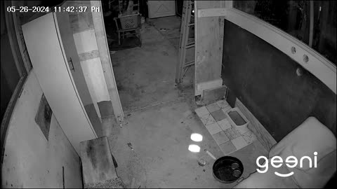 Paranormal Orb in Cat room of barn.