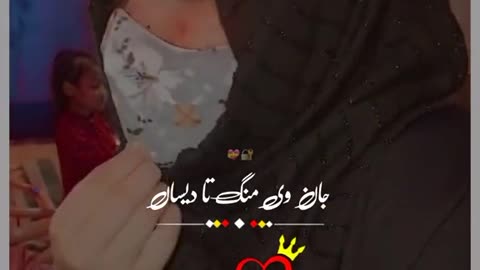 میں تے لکھ الزام پے اون