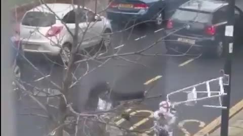 Street fight in London over Palestinian flag