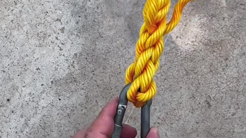 Lasso Like a Pro: How to Insert a Cow Rope (Step-by-Step Guide)