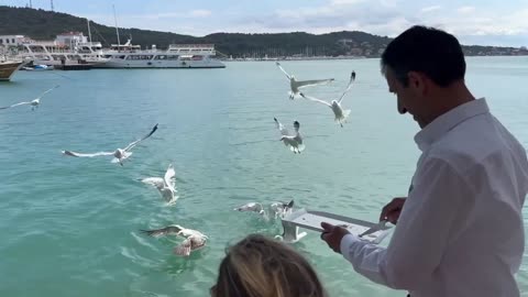 Life in Cunda, Turkey