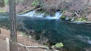 Unique Color – Metolius River – Central Oregon – 4K