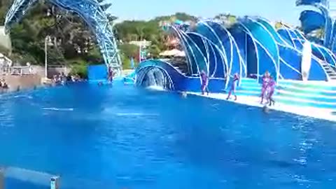 Sea World