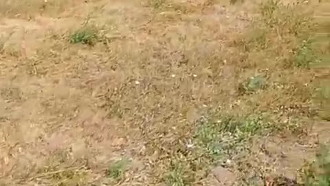 Fresh graves dug next to a large Ukrianian cemetery