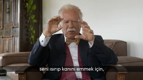 Genetiği Değiştirilmiş Sivrisinekler