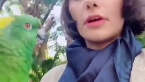 Funny Parrot Talking Viral TikTok