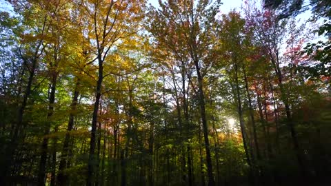 New England Fall Colors Road Trip_ Kancamagus Highway, Stowe, Sleepy Hollow(00h28m06s-00h30m16s)