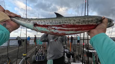 Personal Best Spanish Mackerel From Navarre Pier