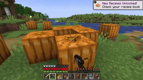 A New Journey, Minecraft Survival MINECRAFT GAMEPLAY