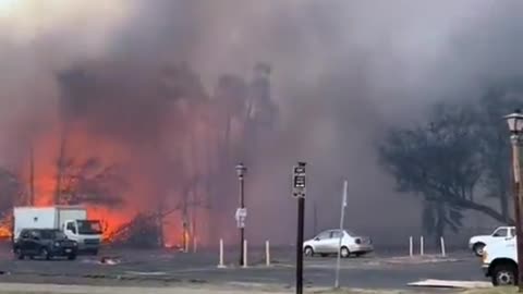 Truth Behind The Hawaii wildfires: Before and after footage shows extend of damage