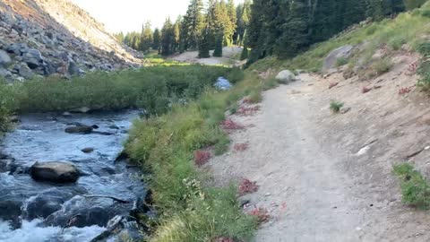 Central Oregon - Heavy Winds alongside Roaring Creek