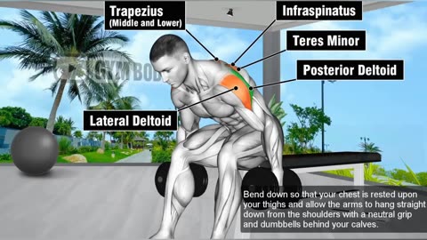 Shoulder Amazing Workout At Gym - 10 Best Exercise For Shoulders. GYM BODY MOTIVATION