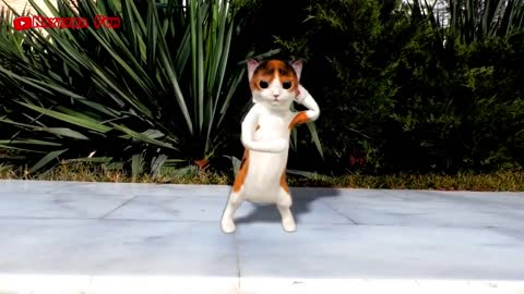 Animated Cats Dance Pok Ame-ame Song