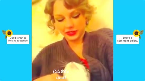 Taylor Swift's lucky cats