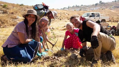 Volunteers from Australia planting 1000's of trees in Israel