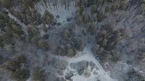 Epic German Winter Landscape