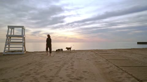 Woman walking dog on beach at sunrise