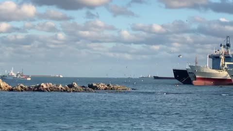 I saw birds flying in groups over the sea.