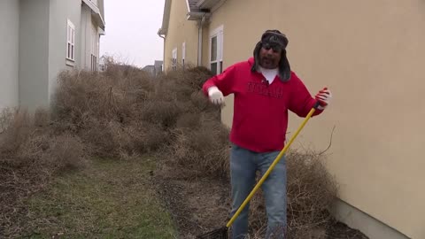 Thousands of tumbleweeds take over Utah town