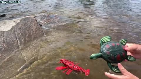 Sea Animal Toys at the Shore