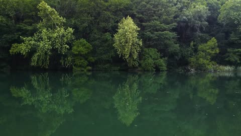 mixkit-sailing-down-a-river-surrounded-by-trees