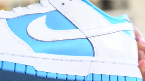 Nike Dunk Low Reverse UNC