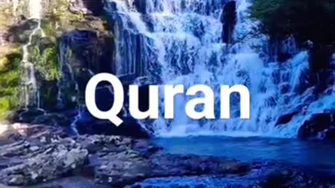 Quran urdu translation