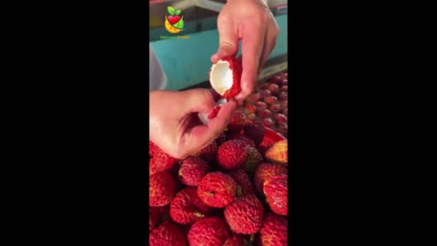 Amazing Natural Fruits Yummy Natural Fruits