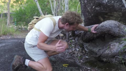 Could this Snake be the "Rainbow Serpent"?