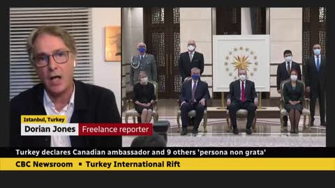 Turkey takes issue with 10 ambassadors, including Canada's, over support for jailed philanthropist