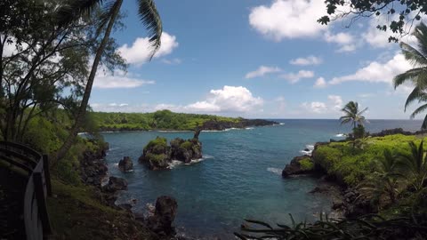 Waiʻanapanapa State Park Tour - Maui Black sand beach