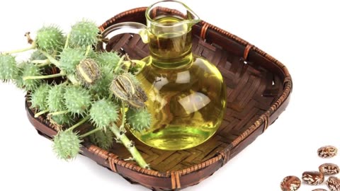 Castor Oil -- Health Tips