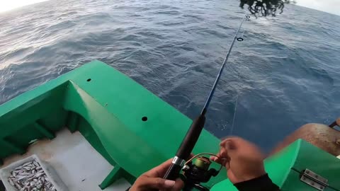 FUI PESCA NO ALTO MAR OLHA O QUE PEGAMOS! pescaria bruta no mar