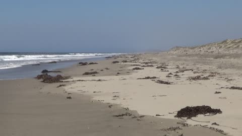 Moss Landing, CA — Zmudowski State Beach #2