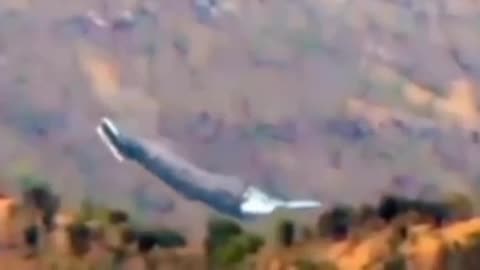 Argentina, a bizarre UFO is landing in the forest.