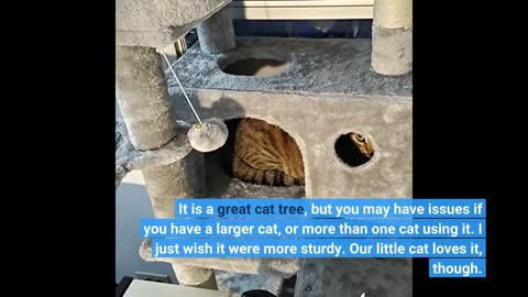 Heybly #CatTree #CatTower for Indoor Cats -Overview