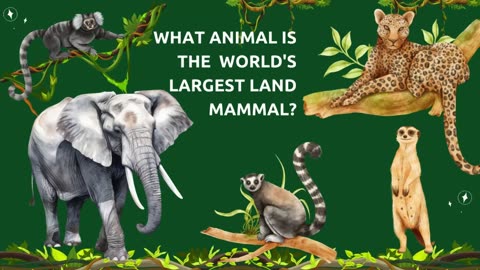 GUESS THE ANIMAL IQ QUIZ GAME FOR KIDS : HIDE AND SEEK | Nursery Songs Play Time #quiz #kidsgames https://youtu.be/NonE8AmFXD0