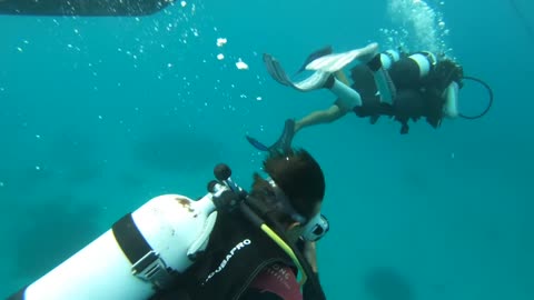 UNDERWATER at the Komodo Islands | Indonesia Episode 104 (Sailing Catalpa)