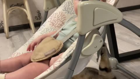 Cat Appears to Swing Baby in Rocker