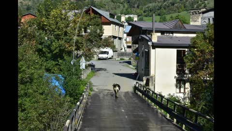 Mestia, Georgia