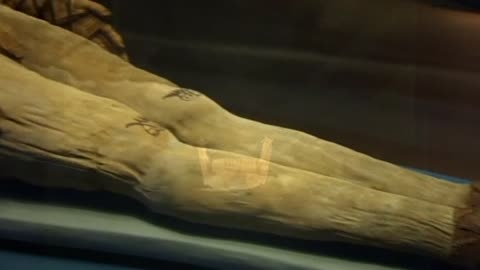 Ancient mummies digitally unwrapped to reveal new secrets