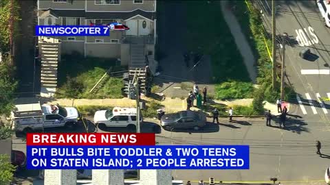 2 teens, toddler attacked by pit bulls on Staten Island