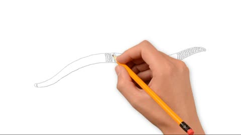 How to Draw 'Earthworm' pencil drawing step by step_Cut