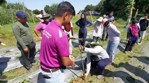 P31 Guna Auger Dapatan Sample Untuk Analisa Tanah, Kalumpang, 27 Jun 2024