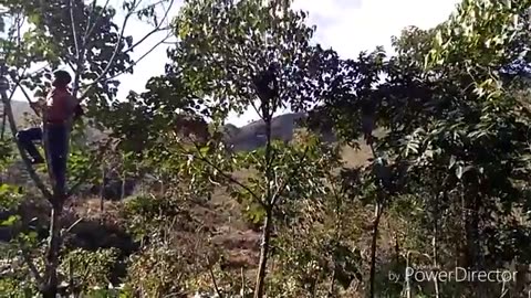 Longkhaw village/Jhum cultivation of Wancho tribe