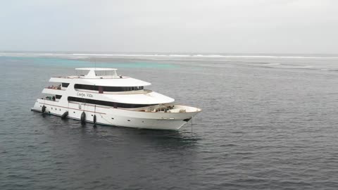 Perfect Wave | SURFING THE MALDIVES