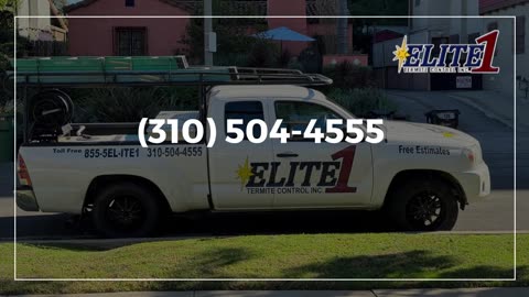 Termite control Beverly Hills * Call (310) 504-4555 | Elite1Termite Control